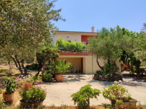 Cretan Rural Stay in Olive Grove Cottage, Rethymnon